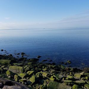 Meet your Posher, Joseph